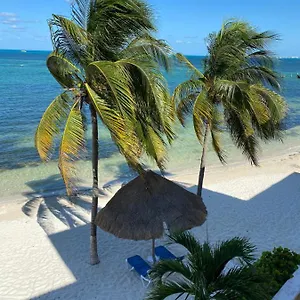 Apartment Tropical
