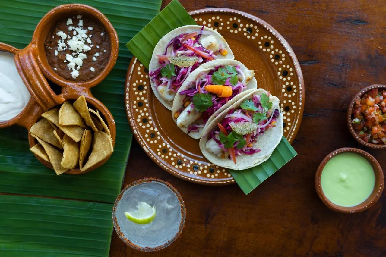 ***** Resort Hyatt Zilara Cancun (Adults Only) México